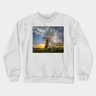 Second Chance Crewneck Sweatshirt